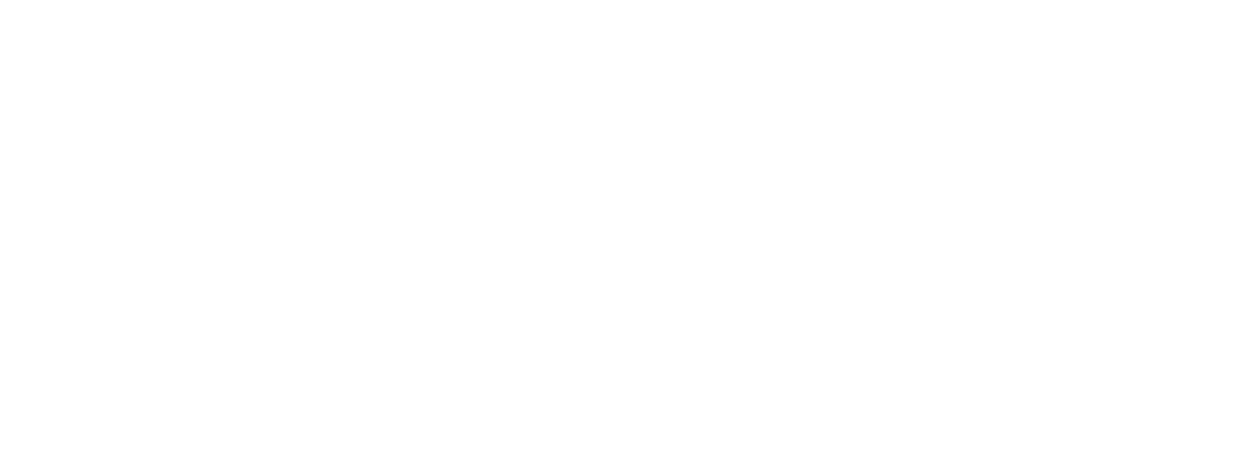 ECAIR